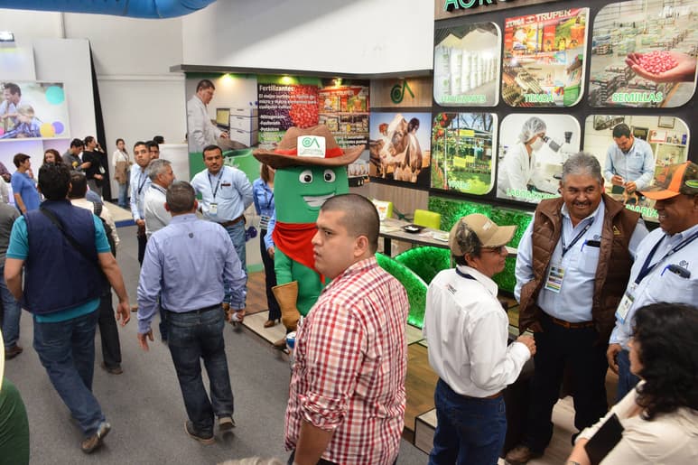 Dinamismo. El sector agropecuario tuvo un incremento de cuatro por ciento en el sexenio. (ARCHIVO)