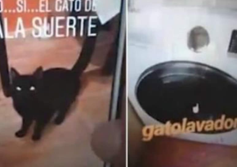 Fuertes imágenes. (INTERNET) 