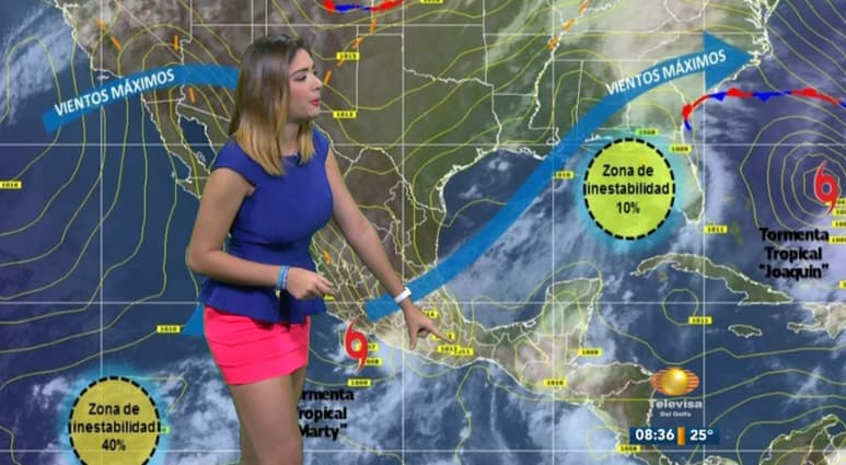 La presentadora del clima de Televisa del Golfo, Marcela Treviño Unda, presentó su renuncia a la candidatura por la diputación al Distrito 08, con sede en Tampico, por la coalición 'Juntos Haremos Historia'. (TWITTER)