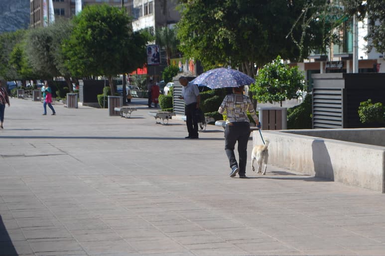 Previenen. Piden atender recomendaciones para evitar daños a la salud en esta época de calor. (ANGÉLICA SANDOVAL)