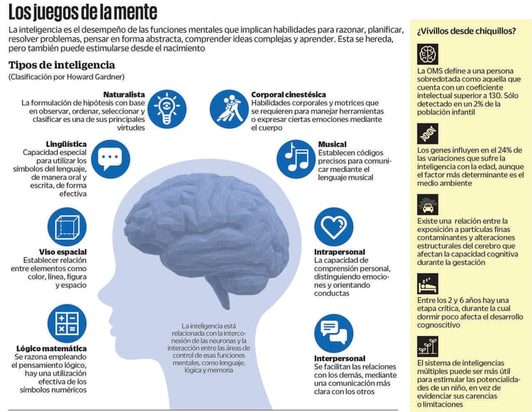 Diversos estudios científicos brindan importantes pistas sobre cómo se asocian las habilidades intelectuales con los factores genéticos. (ARCHIVO)
