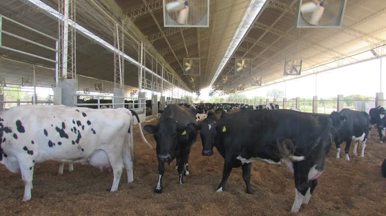 La agricultura y la ganadería son las dos actividades primarias que vierten la mayor parte de sustancias contaminantes en el agua, como el nitrato, el fosfato y los pesticidas, señaló hoy la experta de la FAO Sara Marjani. (ARCHIVO)