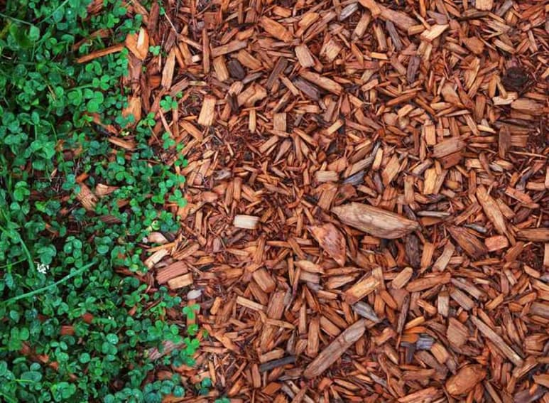 El material para la jardinería hizo que el golpe por la caída no fuera tan fuerte. (INTERNET)