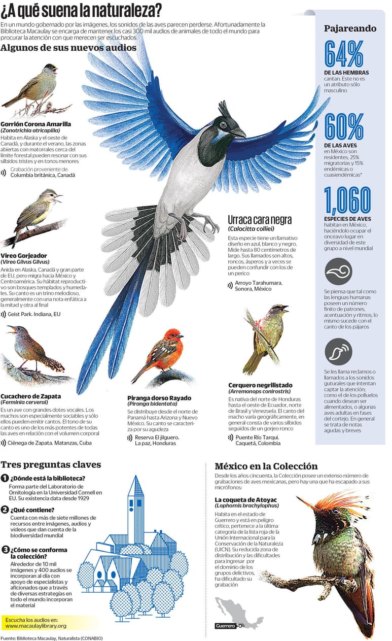 Sin aves no hay paraíso
