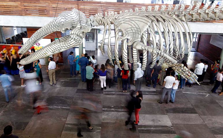 El consumo de los turistas que residen en México aumentó 1.8 %, mientras que el gasto de extranjeros (turismo receptivo) cayó el 1.5 % en el mismo lapso. (ARCHIVO)