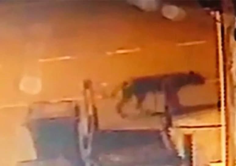 La mujer compartió el video a través de Facebook. (INTERNET)