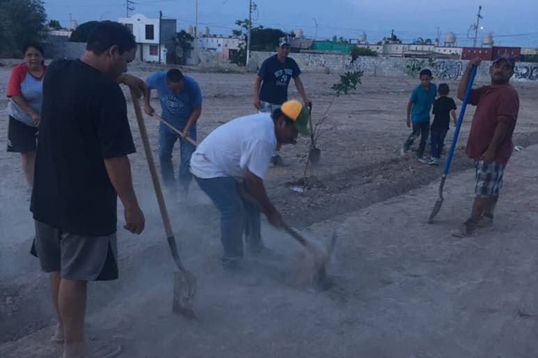 Arbolitos. Esperan colocar esta semana otros 40 arbolitos, ya que todos los vecinos se han mostrado interesados en ayudar. (EL SIGLO DE TORREÓN)