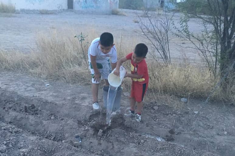 Arbolitos. Esperan colocar esta semana otros 40 arbolitos ya que todos los vecinos se han mostrado interesados en ayudar. (EL SIGLO DE TORREÓN)