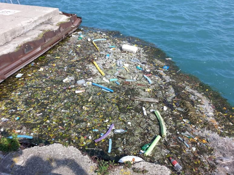 En el Día Mundial de los Océanos llaman a revertir daños por basura plástica. (ARCHIVO)