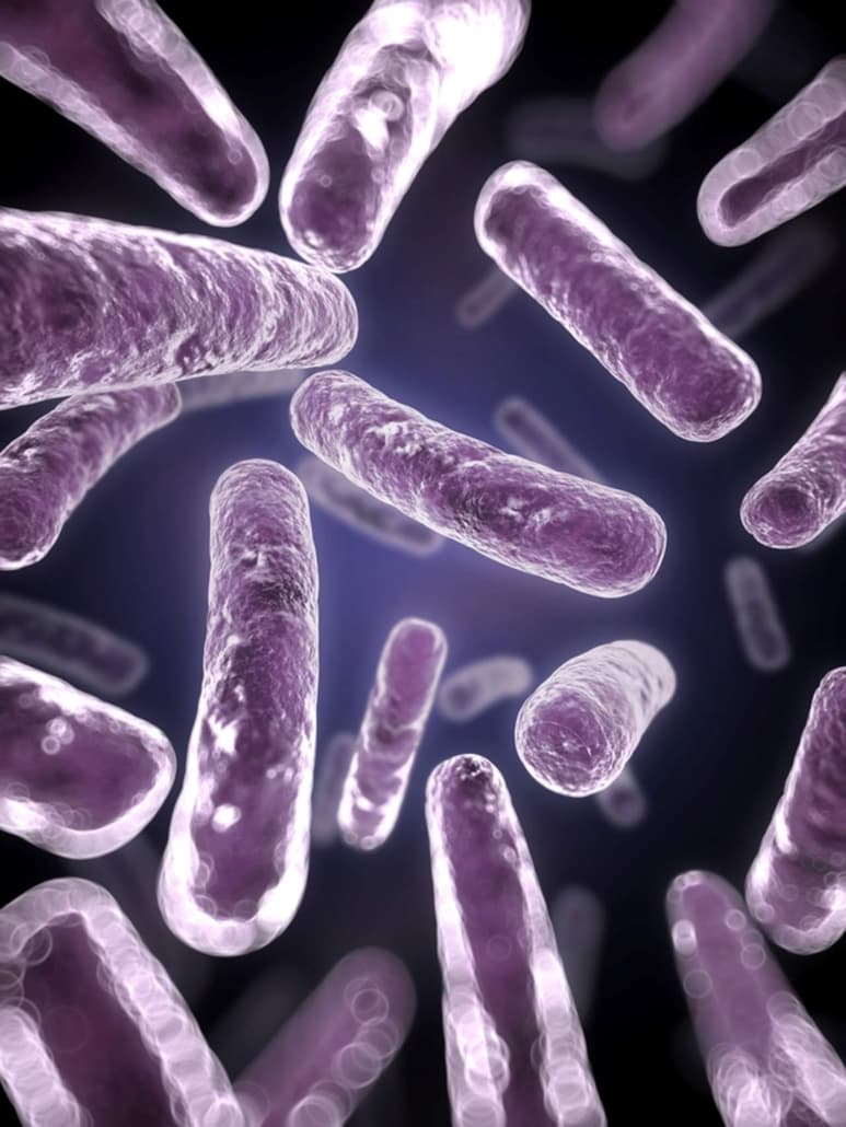 Expertos de la Universidad de Costa Rica investigaron en como funciona la evolución del cáncer gástrico. (ARCHIVO)
