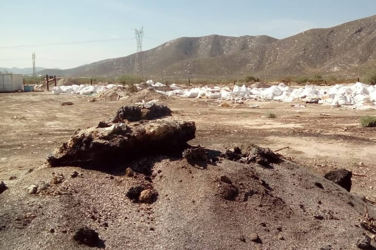 Autoridades. Estarán realizando supervisiones de quejas ciudadanas por cuestiones ambientales. (EL SIGLO DE TORREÓN)