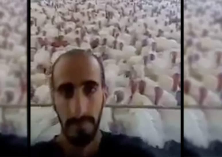 El video se hizo viral a través de Twitter. (INTERNET) 