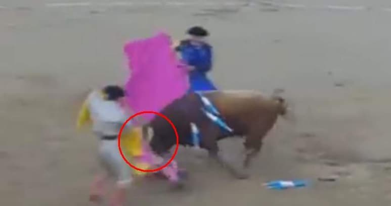 El torero recibió atención médica inmediatamente tras el incidente.