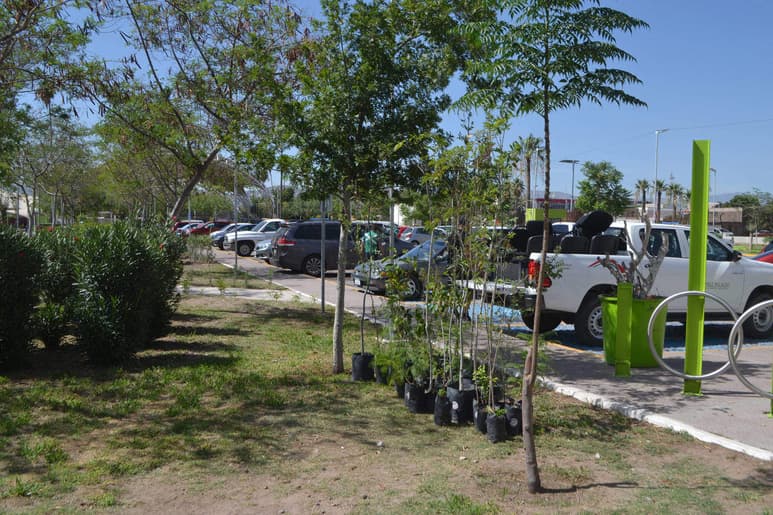 Reforestación. Ayer, y de manera simbólica se plantaron 10 árboles de diversas especies. (EL SIGLO DE TORREÓN)
