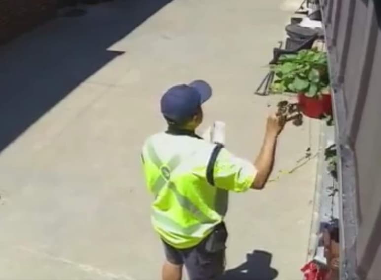 Revisaron sus cámaras de seguridad y descubrieron la verdad. (INTERNET)