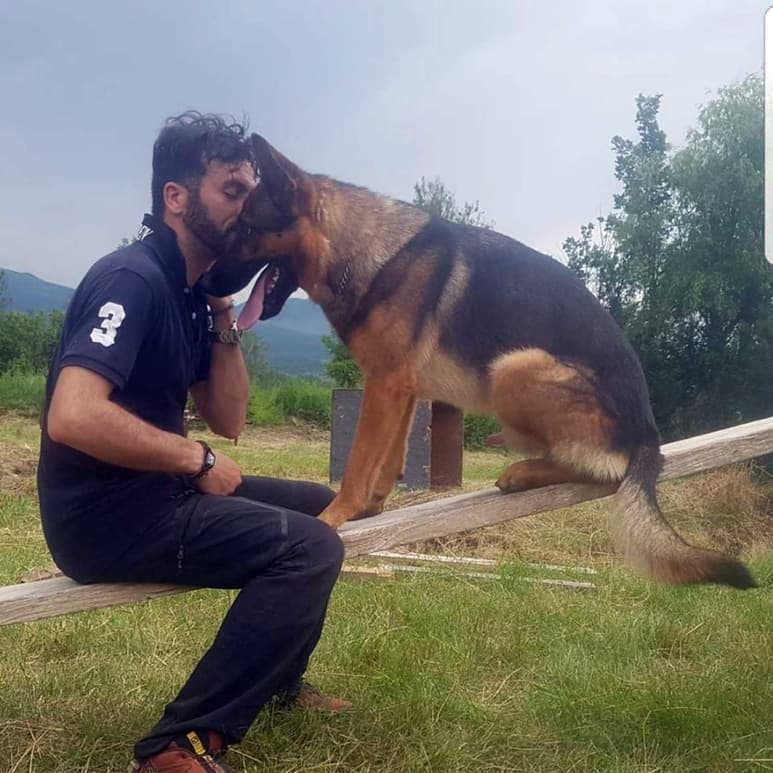 El pastor alemán Kaos murió envenenado en el jardín, reportó el domingo su dueño. La policía investiga el incidente. (ARCHIVO)