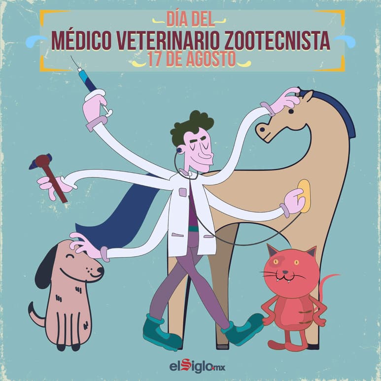 (TOM PALOMARES)