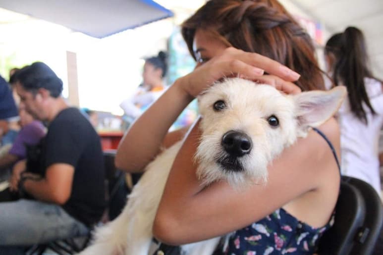 El problema de sobrepoblación canina es un tema que a veces resulta difícil de entender, por lo que esterilizar a tu mascota te convierte en un dueño responsable, ya que contribuyes a evitar el abandono de estos animales. (ARCHIVO)
