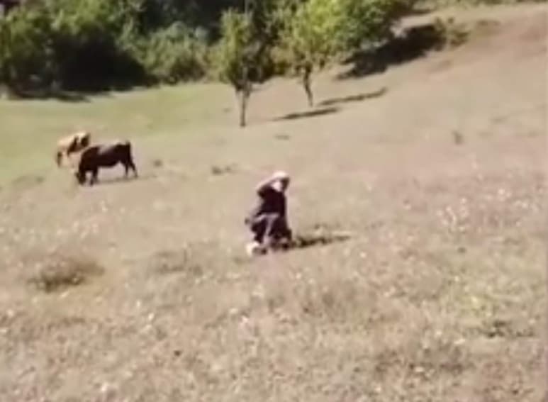 Un clip compartido en la red. (INTERNET)