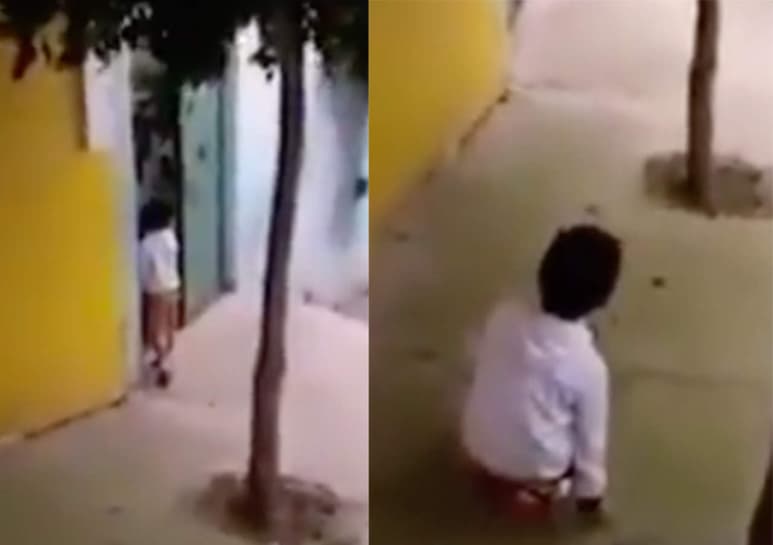 Video viral en Twitter. (INTERNET)
