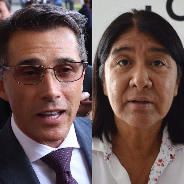 Morena designó a Mayer y a Sánchez para presidir las Comisiones de Cultura y Salud, respectivamente. (ARCHIVO)
