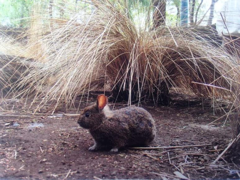 Aseguró que realiza esfuerzos de monitoreo el Área de Protección de Flora y Fauna Nevado de Toluca. (ARCHIVO)