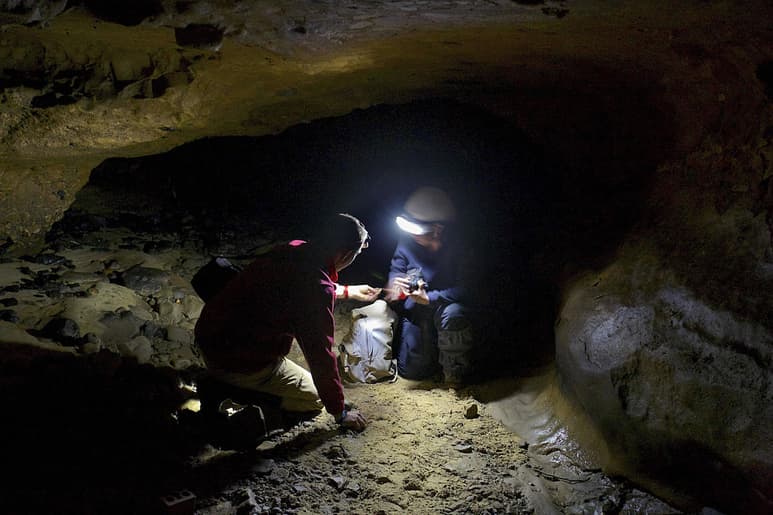 Indagan. Uno de los estudios reconstruye los tejidos y la morfología de las piezas dentales que han encontrado en varias cuevas. (EFE)