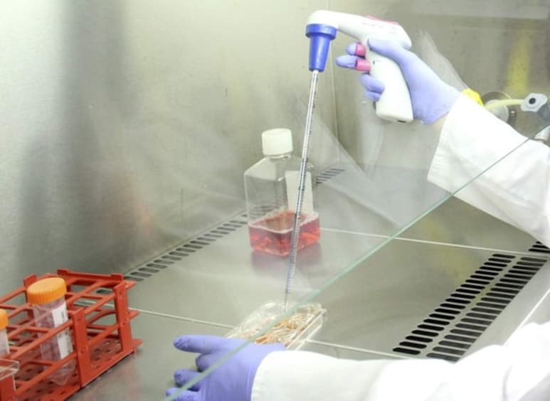 Abren nuevas vías para tratar de manera más segura quemaduras graves o enfermedades de la piel. (ARCHIVO)
