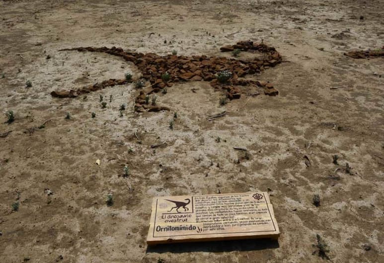 Riqueza. Rincón Colorado, en Coahuila, es una de las zonas más ricas del país en paleontología y única por sus enormes hallazgos. (CORTESÍA)