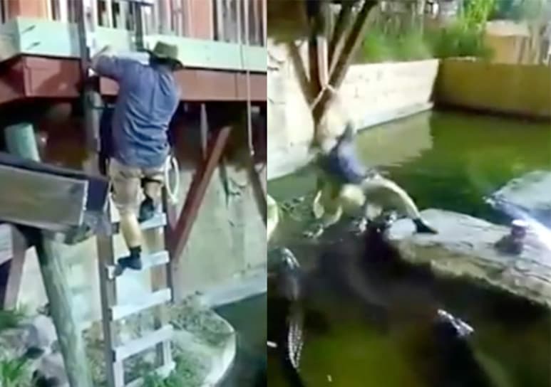 Video viral en redes sociales. (INTERNET)