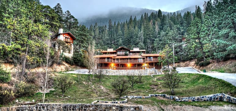 Gracias a su riqueza natural, en este lugar es posible disfrutar de un paseo por sus calles flanqueadas por centenares de árboles. (FOTO: BOSQUE MONTERREAL)
