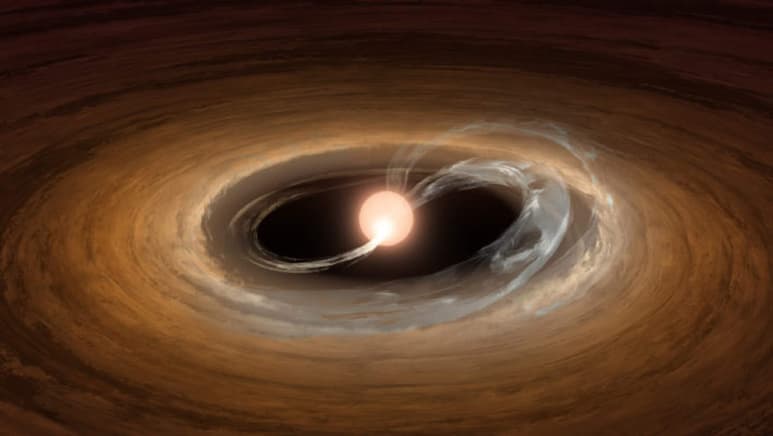 El astro recién descubierto, Gaia 17bpi, es de una clase de estrellas que ganan masa cuando la materia que gira alrededor del cuerpo celeste cae sobre su superficie. (ESPECIAL)