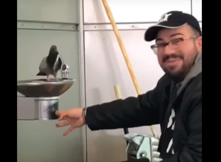 El clip se comparte en la red. (INTERNET)