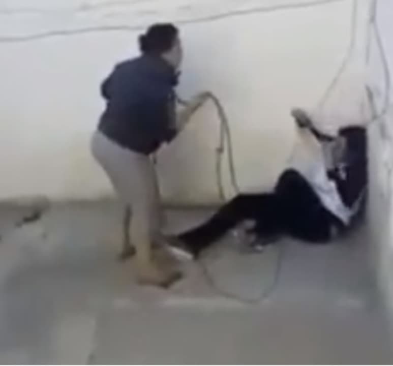 En redes. Durante más de tres minutos esta mujer golpeó, con un lazo, a su hijo; hoy se considera prófuga de la justicia.