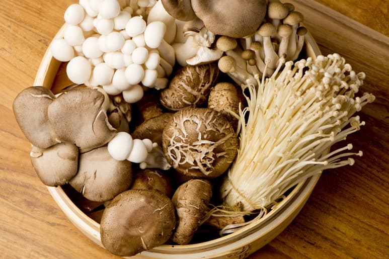 Existen 500 tipos de hongos comestibles en el país y sólo una decena de ellos son alucinógenos. (ESPECIAL)