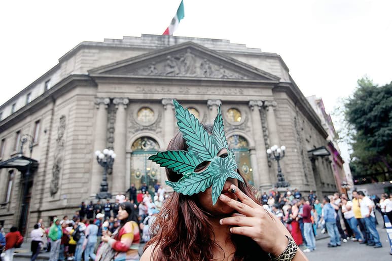 El énfasis hacia el uso recreativo de la cannabis ha desvirtuado su utilización con fines médicos y actualmente miles de pacientes quedaron entrampados en medio del debate sobre el empleo de la planta con ese objetivo, aseguran especialistas de los colectivos Cannapeutas y Mexicanna. (ARCHIVO)