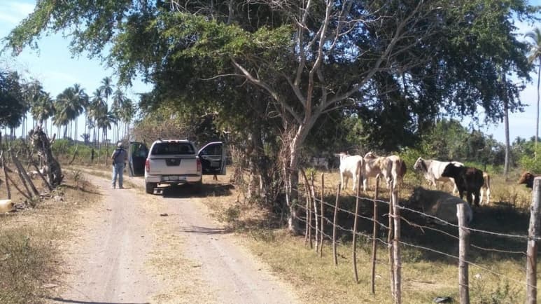 Hallazgo. Las autoridades localizaron un total de 69 cadáveres en las 49 fosas clandestinas localizadas en el municipio de Tecomán, informó ayer la Fiscalía General del estado de Colima. (EFE)