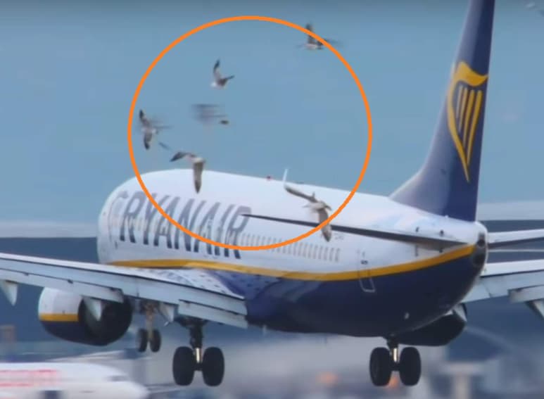Las aeronaves ahora se diseñan para resistir fuertes impactos en cabina y motores. (INTERNET)
