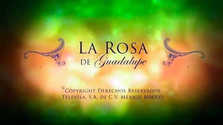 Material extraído de redes sociales.