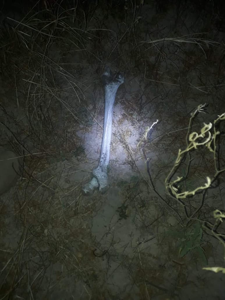 El hallazgo fue reportado por un habitante del ejido Bilbao. (ESPECIAL)