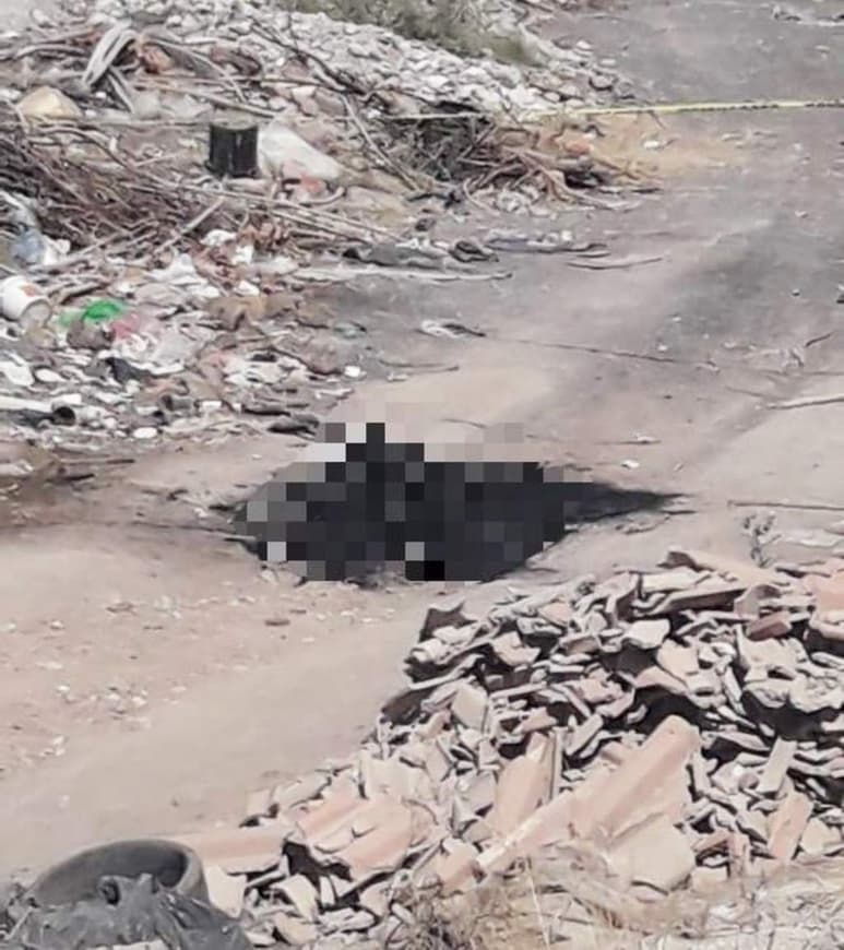 Debido a las condiciones en que se encontraba el cuerpo, no se pudo determinar si se trata de un hombre o una mujer. (EL SIGLO DE TORREÓN)