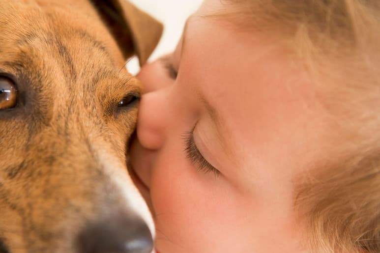 Para quienes tienen un bebé en casa, o esperan la llegada de uno, es importante saber si tu perro puede convivir o no con él. (ARCHIVO)