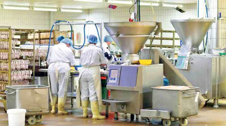 El estudio realizado por la UACh, a solicitud del propio SAT, mostró montos importantes de evasión del ISR en el esquema de sueldos y salarios en 2016 y 2017. (ARCHIVO)