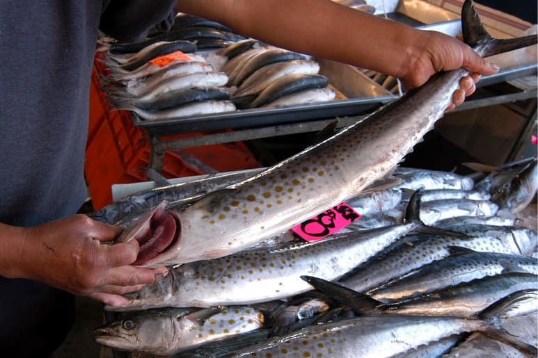 Llama IMSS a extremar cuidados en el consumo de pescados y mariscos en esta temporada de calor.