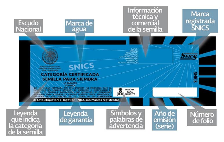 Llaman a decir no a las semillas 'piratas'. (ESPECIAL)