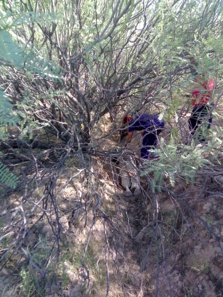 El cuerpo se encontraba entre unos matorrales y de inmediato se dio parte a las autoridades. (EL SIGLO DE TORREÓN)