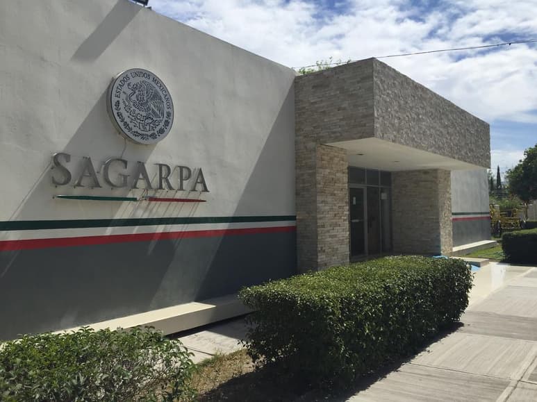 Trabajan para sacar del mercado nacional alrededor de 360 plaguicidas, vinculados a 60 moléculas.