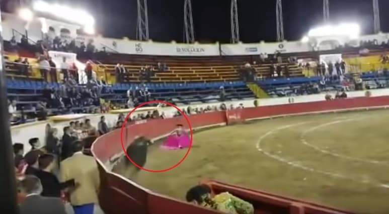 Material extraído de redes sociales.