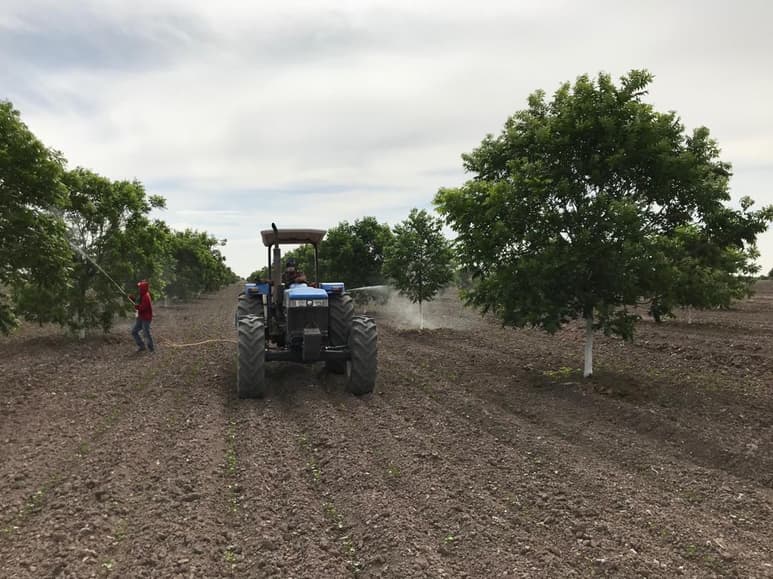 Para mejorar el nivel de vida en el sector, se ponen en marcha programas estratégicos de apoyo en el sector pecuario. (ARCHIVO)