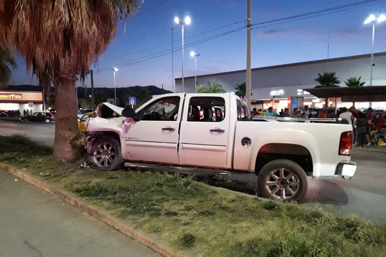 La unidad se subió al camellón central a la altura de Residencial Las Misiones y terminó impactándose contra una palma. (EL SIGLO DE TORREÓN)